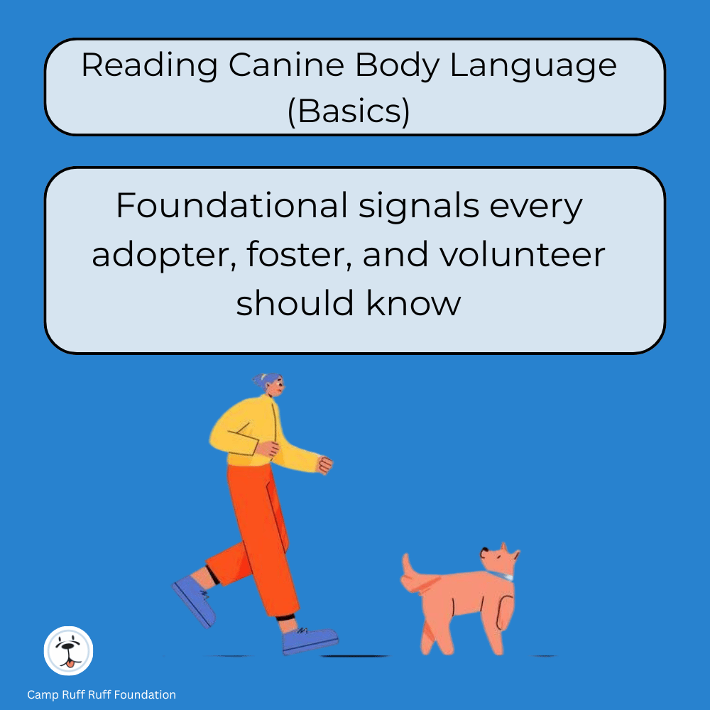 Reading Canine Body Language (Basics) course cover showing a dog and simple visual cues for understanding stress and comfort signals.