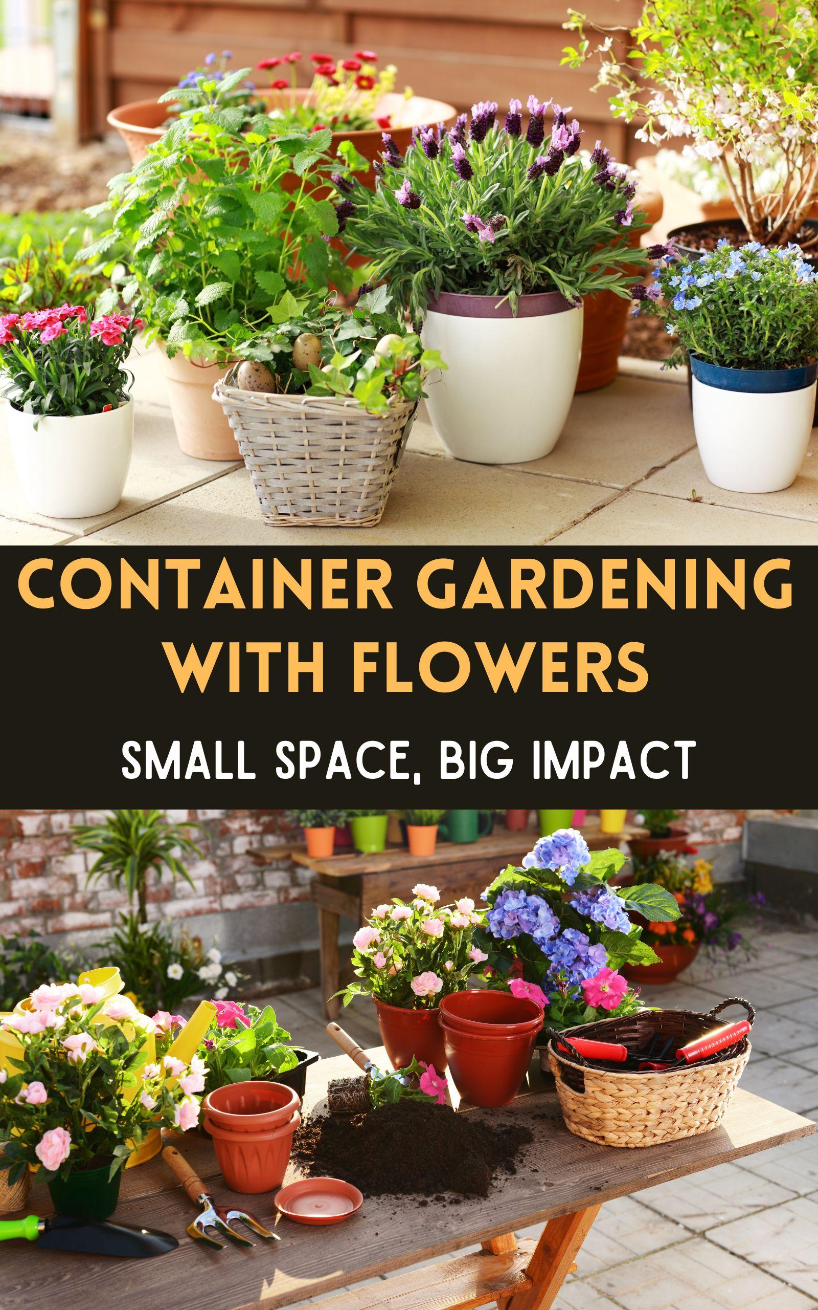 Container Gardening with Flowers : Small Space, Big Impact - Payhip
