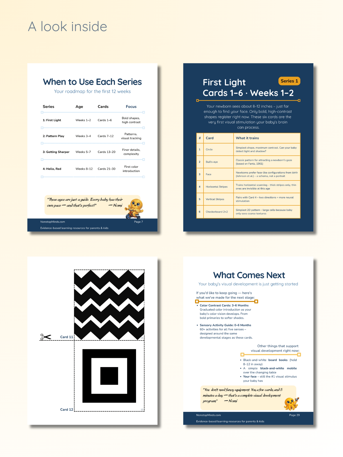 Inside pages - card schedule, series descriptions, flashcard samples, next steps