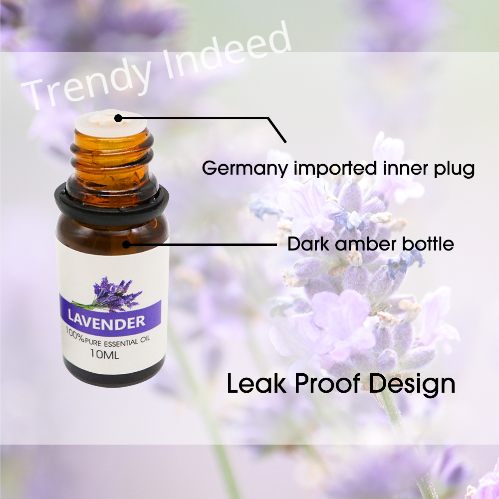 Aromatherapy essential oil kit eight bottle fragrance oil set