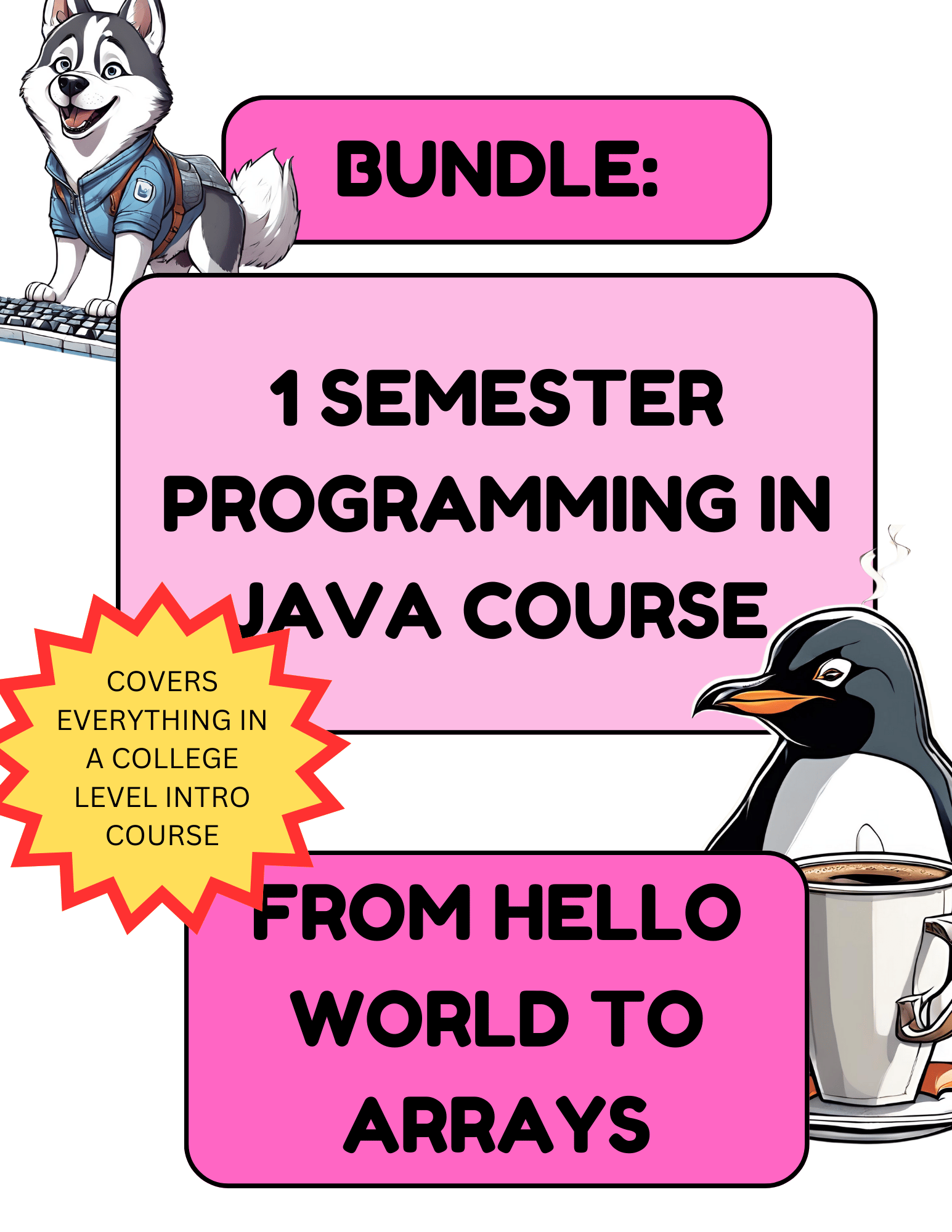 Java Programming Curriculum Bundle – Intro to Java Coding, Logic, and ...