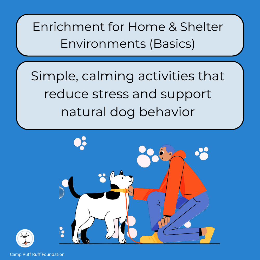 Enrichment for Home & Shelter Environments (Basics) course cover showing calming, low‑stress enrichment activities for dogs in homes and shelters