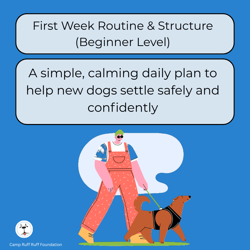 “First Week Routine & Structure (Beginner Level) course cover showing a calm, structured routine to help new dogs settle during their first week.”