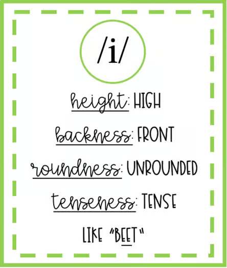 International Phonetic Alphabet (IPA) Flashcards