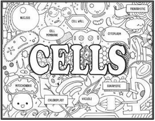 Life Science Vocabulary Search Activity Bundle | Seek and Find Science Doodle