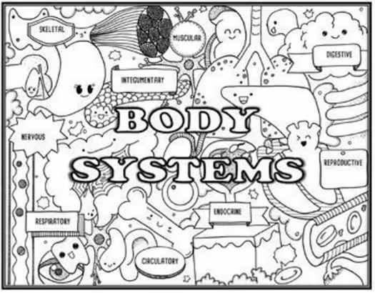 Life Science Vocabulary Search Activity Bundle | Seek and Find Science Doodle