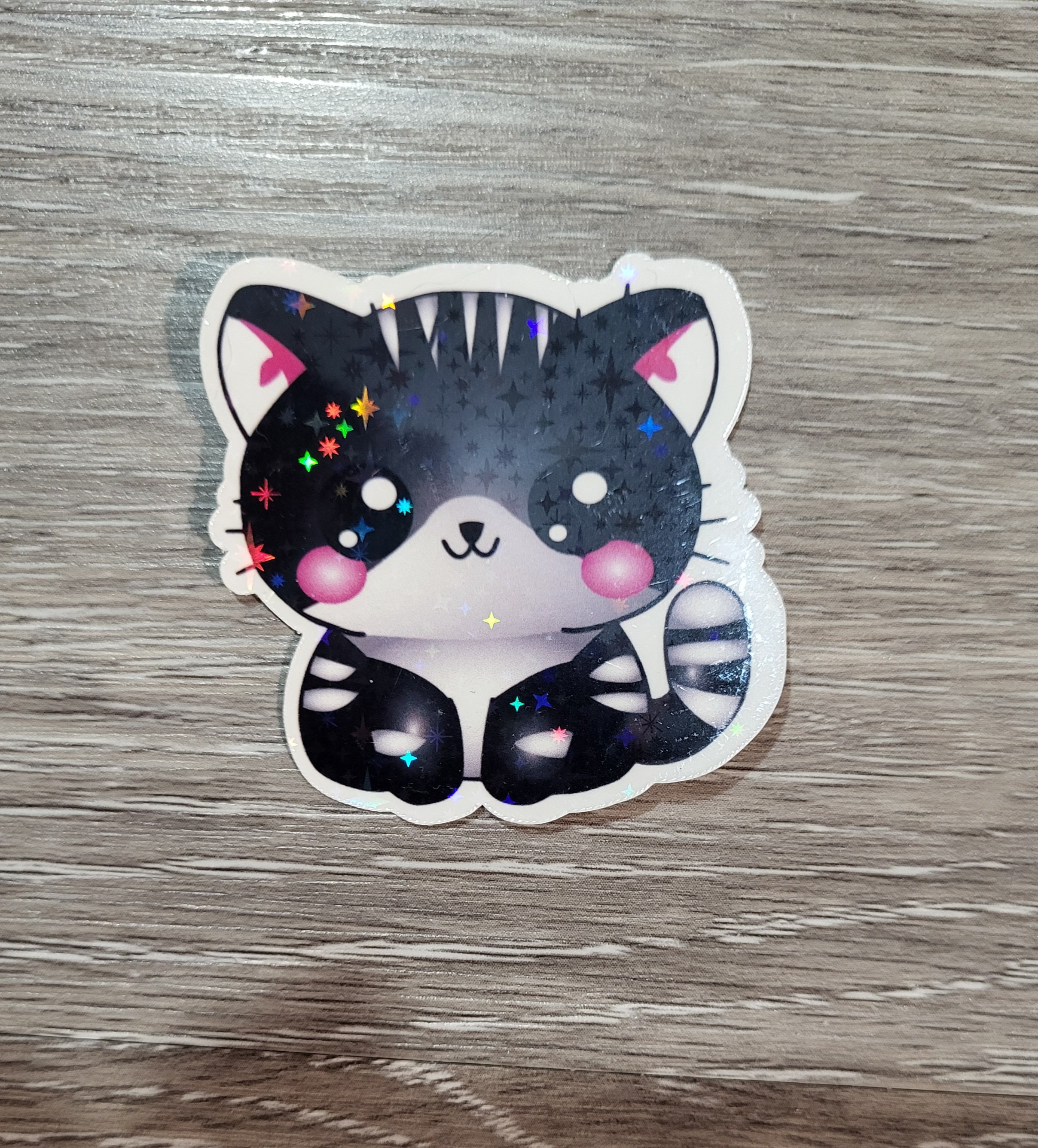 Cute Black and White Stripped Cat Sticker