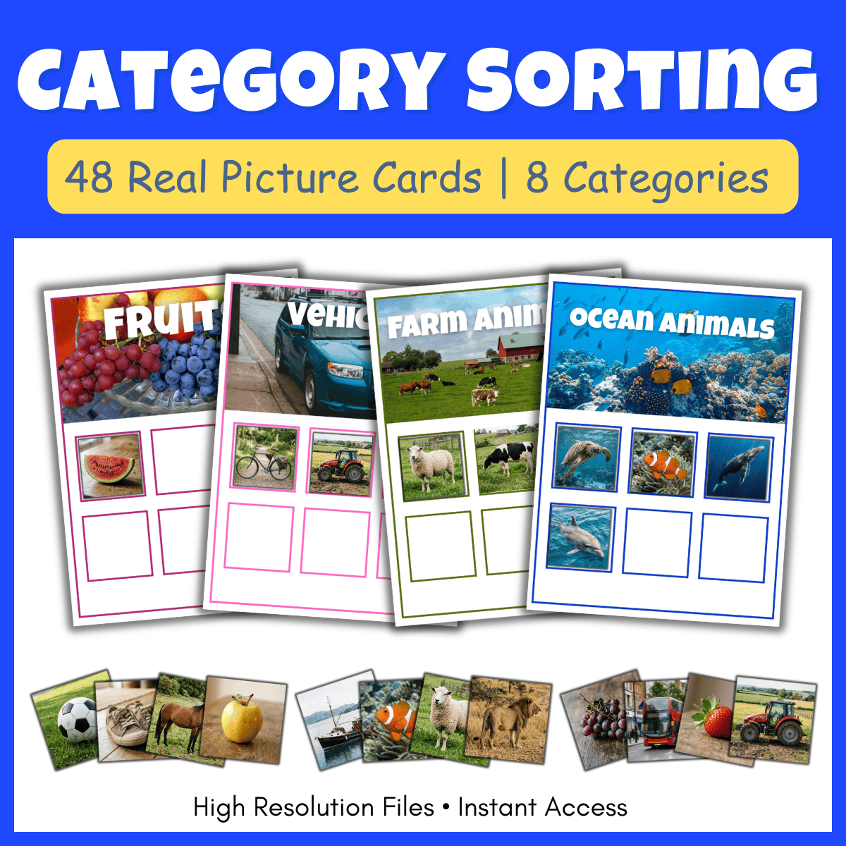 Sorting Objects into Categories | Speech Therapy ABA Real Pictures ...