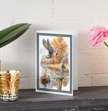 mallard ducks, greeting card