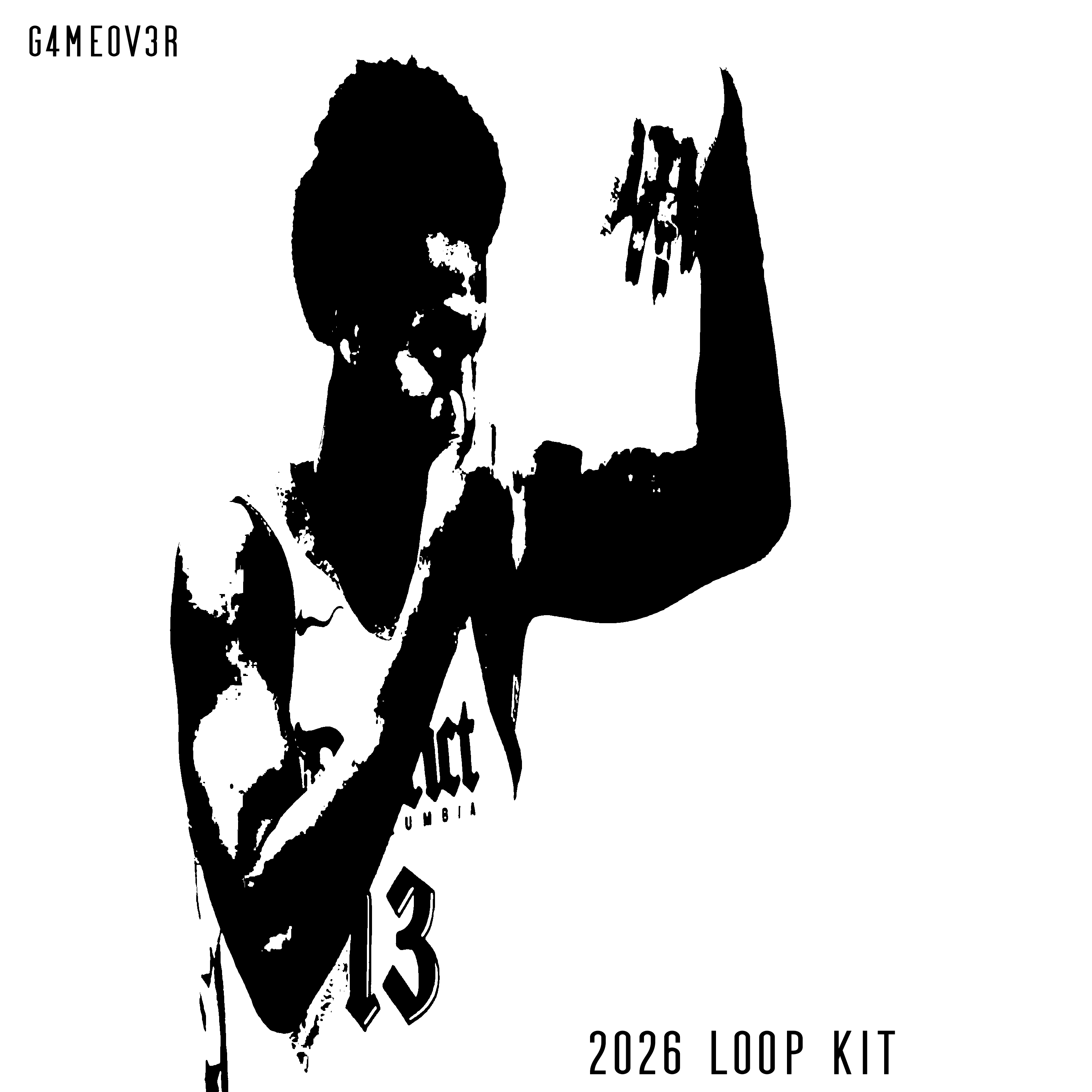 G4ME0V3R 2026 Loop Kit - Payhip