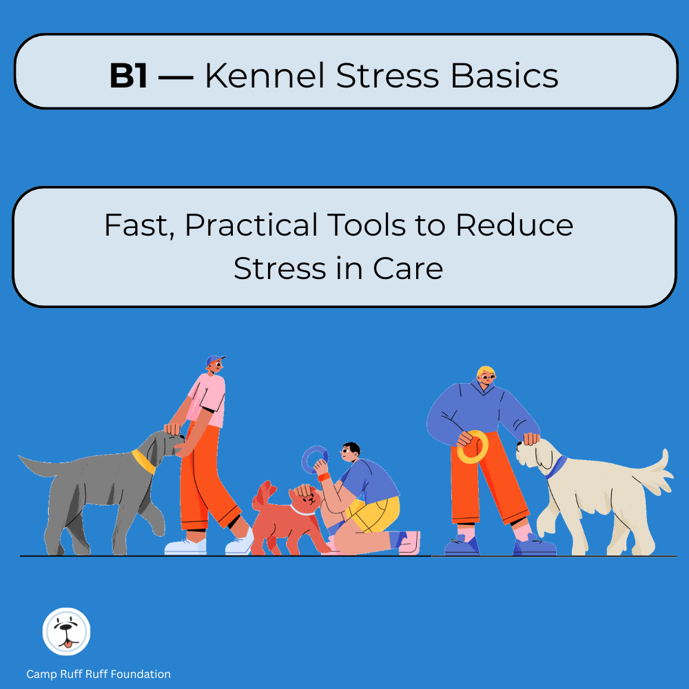 Cover image for “B1 Quick Start: Kennel Stress Basics,” a 1‑page guide for shelter and rescue staff on identifying and reducing kennel stress in dogs.