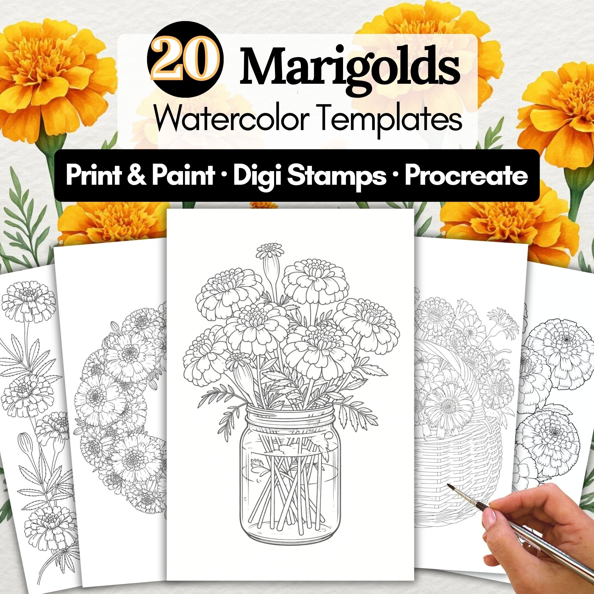 Marigolds Watercolour Templates