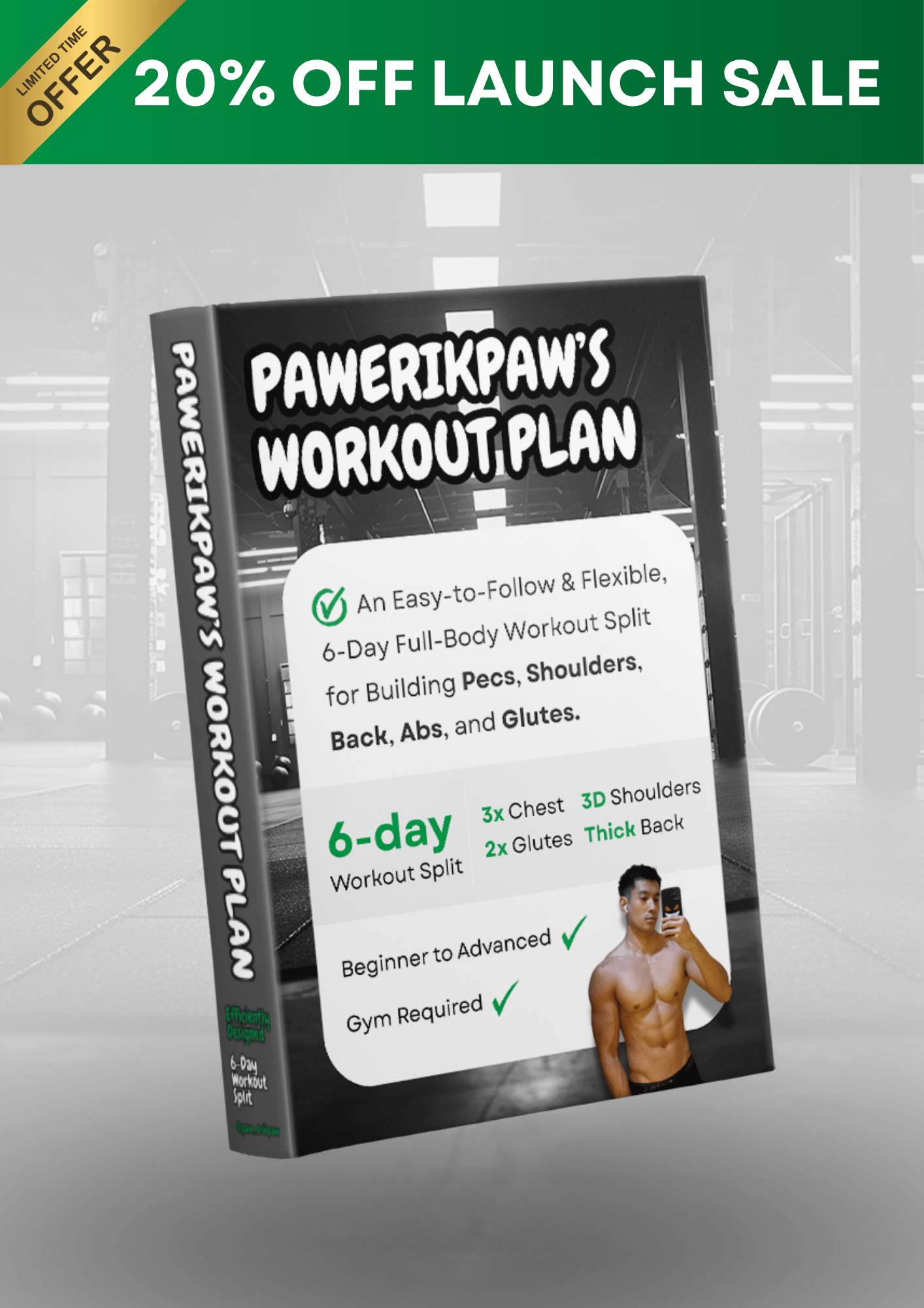 PAWERIKPAW'S WORKOUT PLAN - Payhip