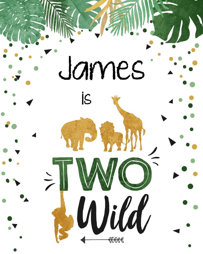 Two Wild Birthday Sign Safari Animals 2nd Birthday Canva Template