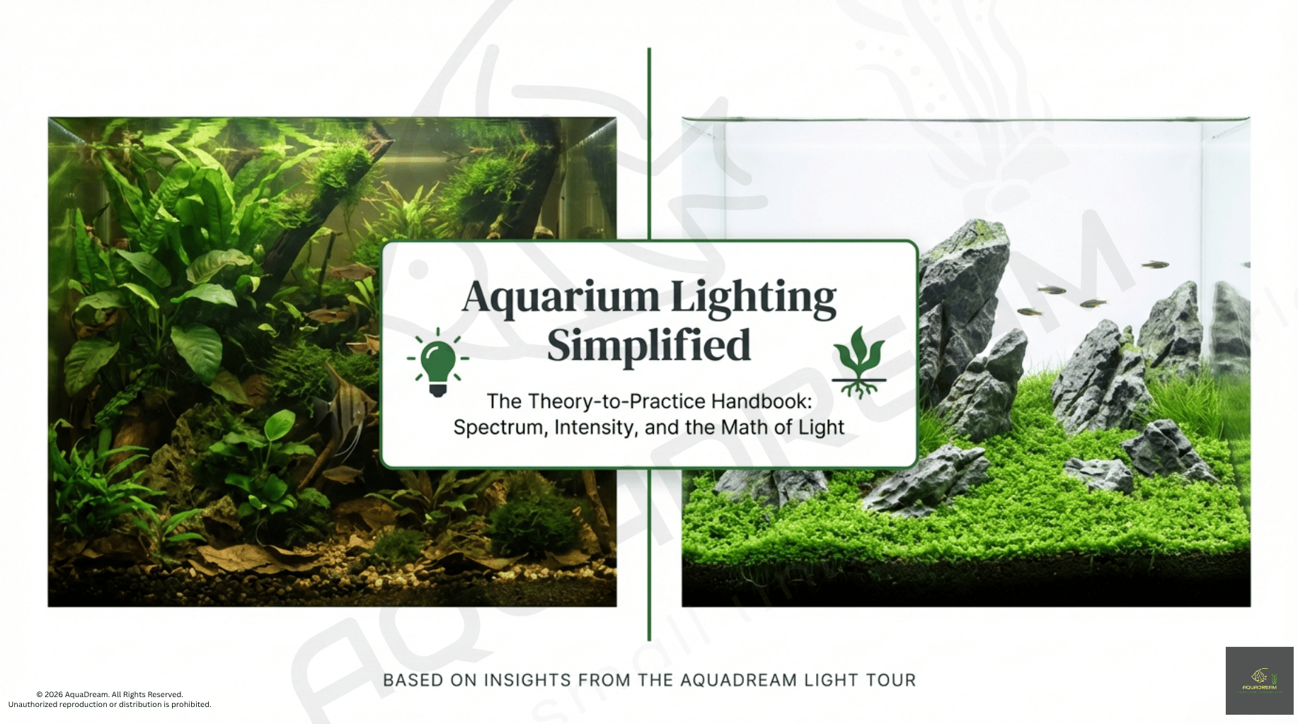 Precise Lighting Metrics for Algae-Free Tanks - Payhip