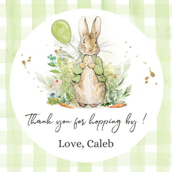 Peter Rabbit Favor Tags | Editable Blue Bunny Birthday Thank You Labels