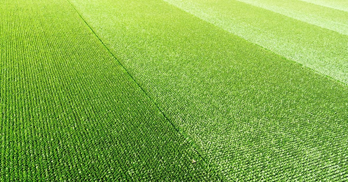 artificial grass UAE