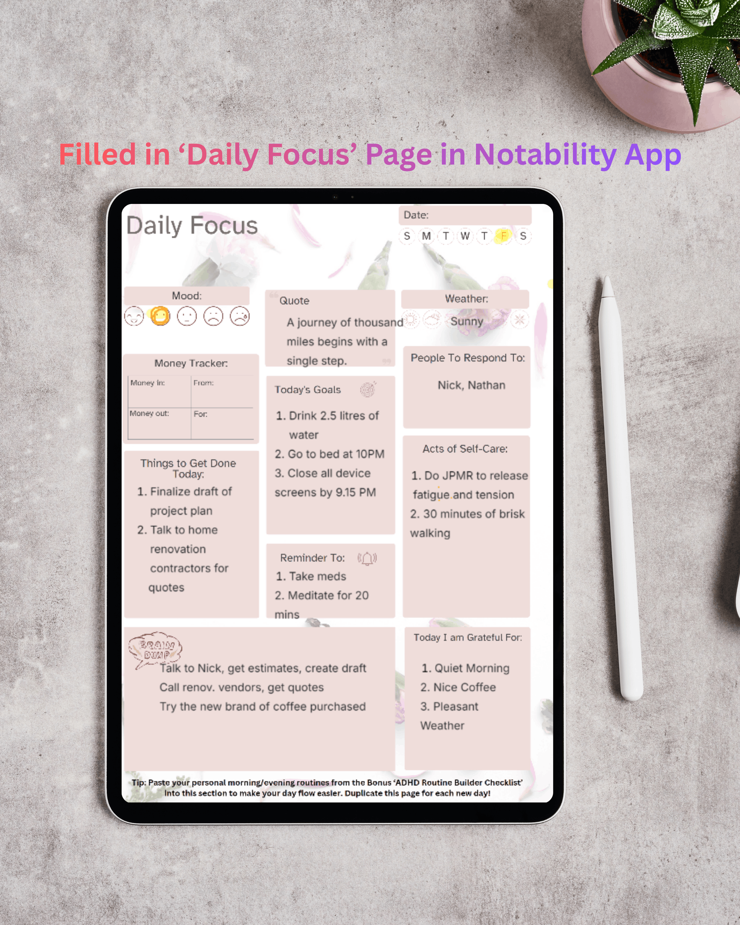 Finally, a Planner Kit Built for your ADHD Brain | Daily Focus Iceberg ...