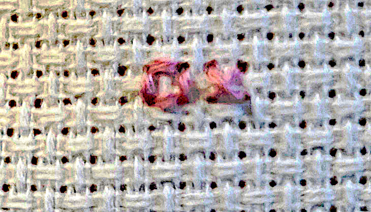 cross stitch on aida fabric