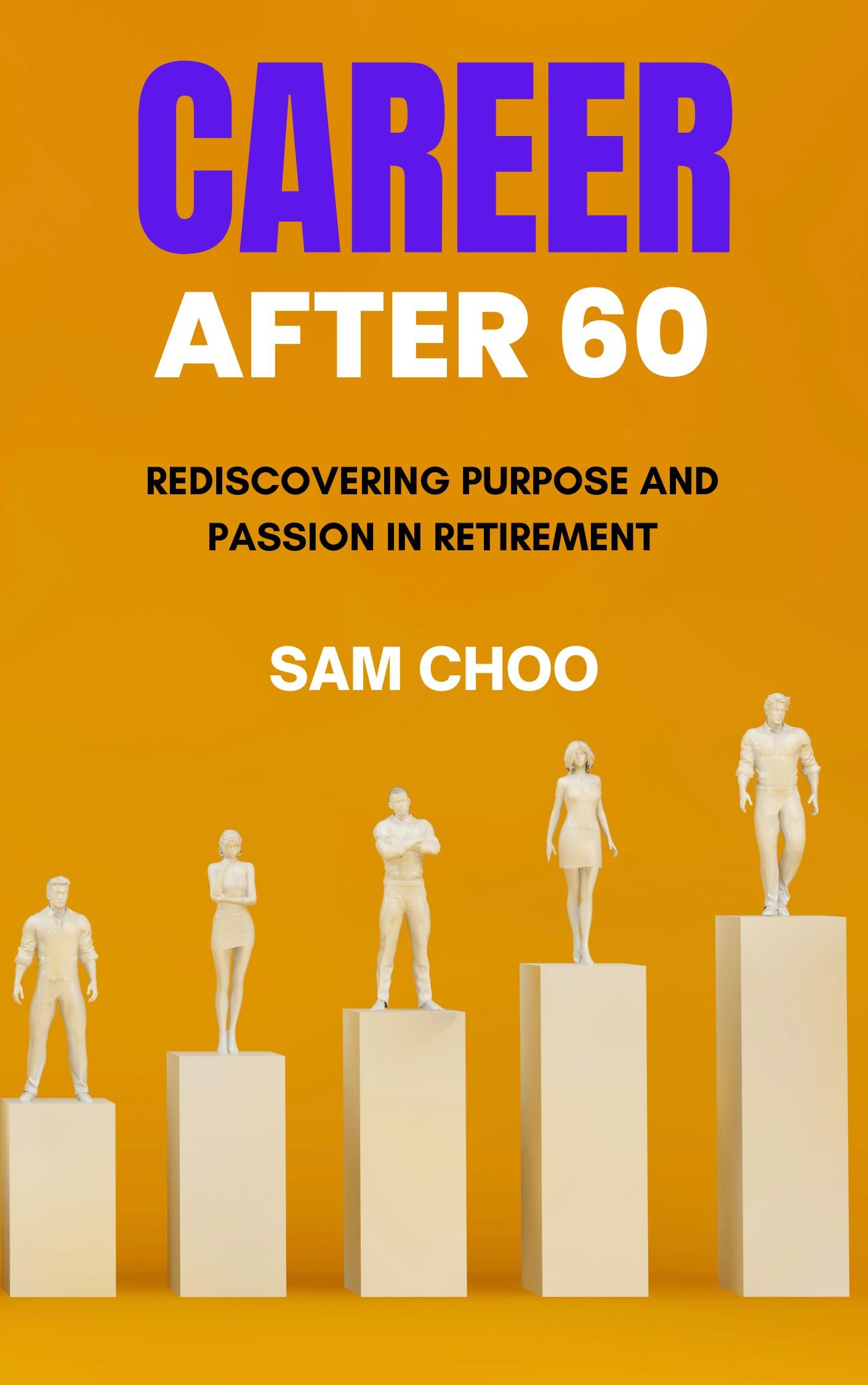 Career After 60: Rediscovering Purpose and Passion in Retirement - Payhip