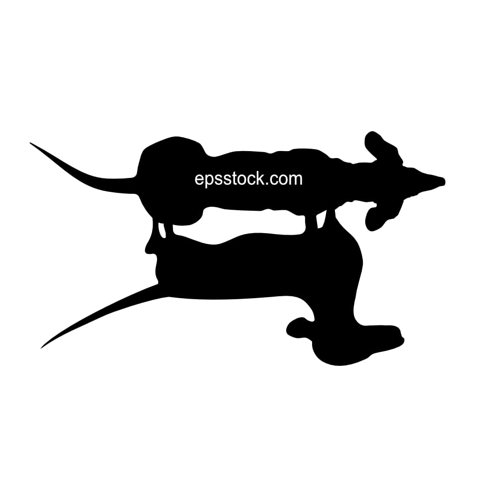 top view of a dachshund