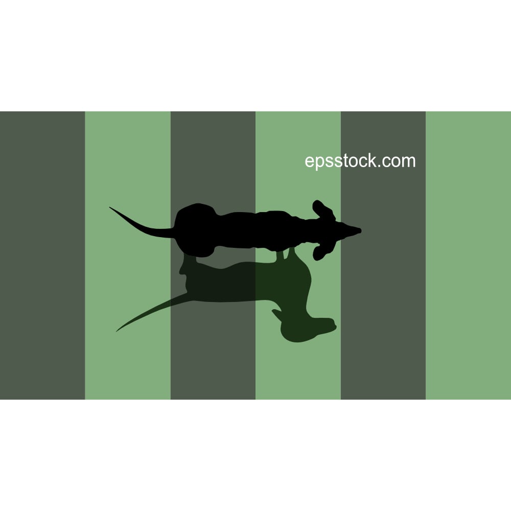 top view of a dachshund, flat color vector illustration