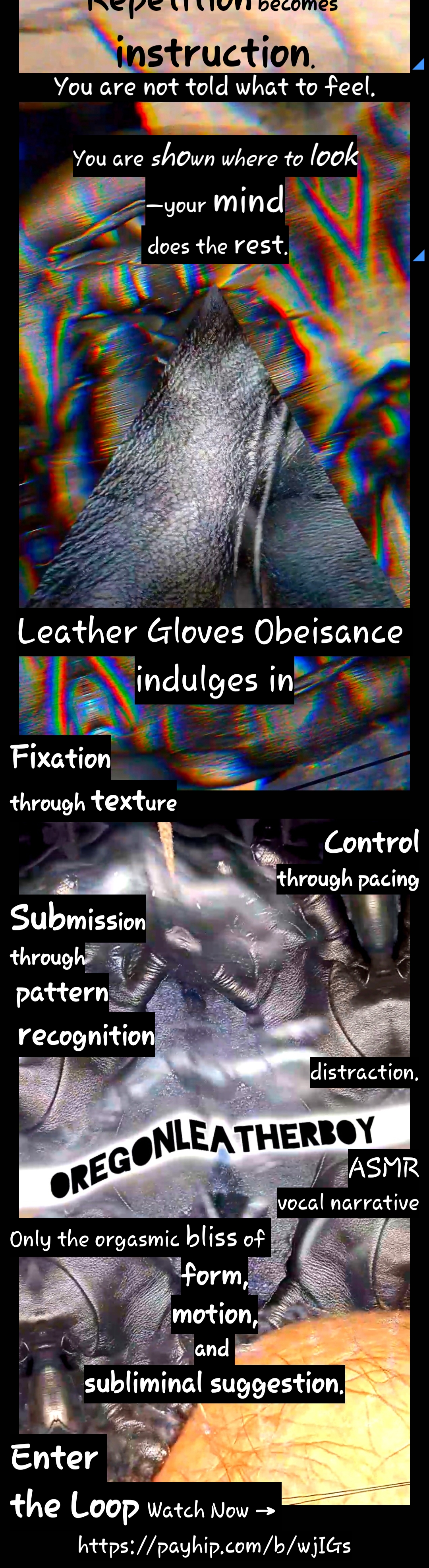 Preview image for Oregonleatherboy Leather Gloves Obeisance with descriptions and visual scenes