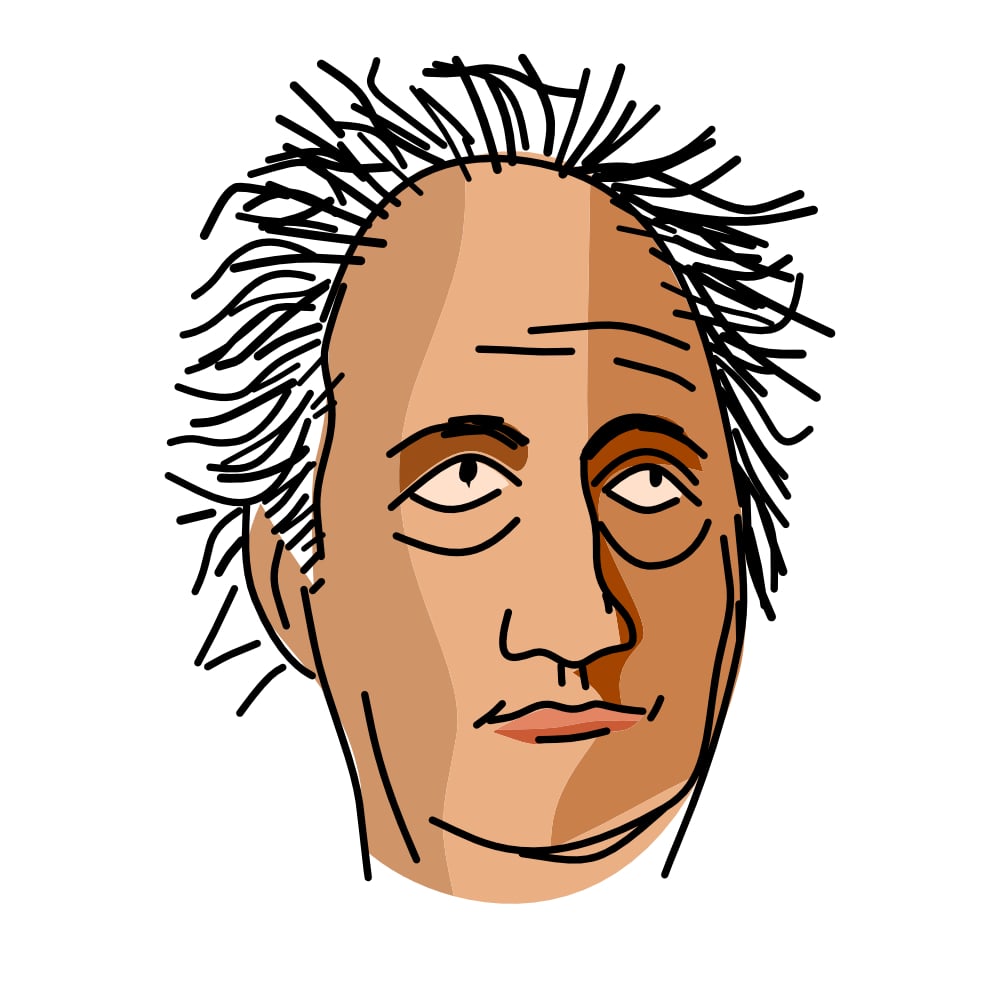 Johann Wolfgang von Goethe portrait, flat vector illustration