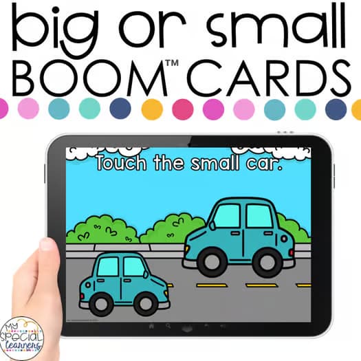 Identifying Big or Small Boom™ Cards - Distance Learning for Special Education