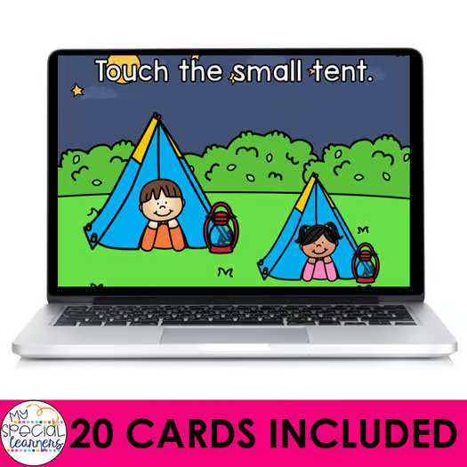 Identifying Big or Small Boom™ Cards - Distance Learning for Special Education