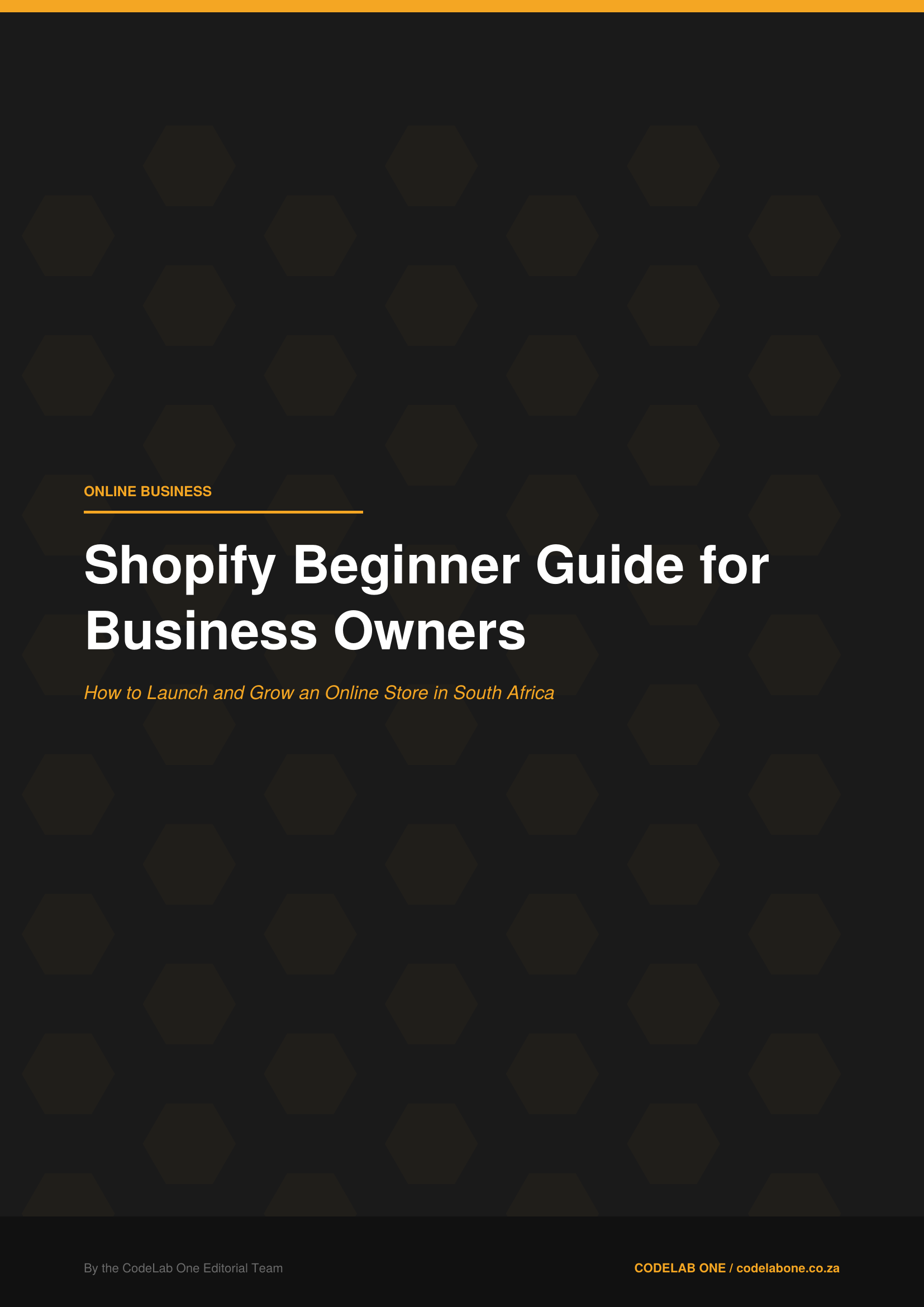 Shopify Beginner Guide for Business Owners - Payhip