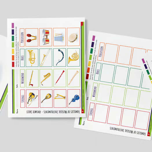Families of Musical Instruments Music Activity Worksheet
