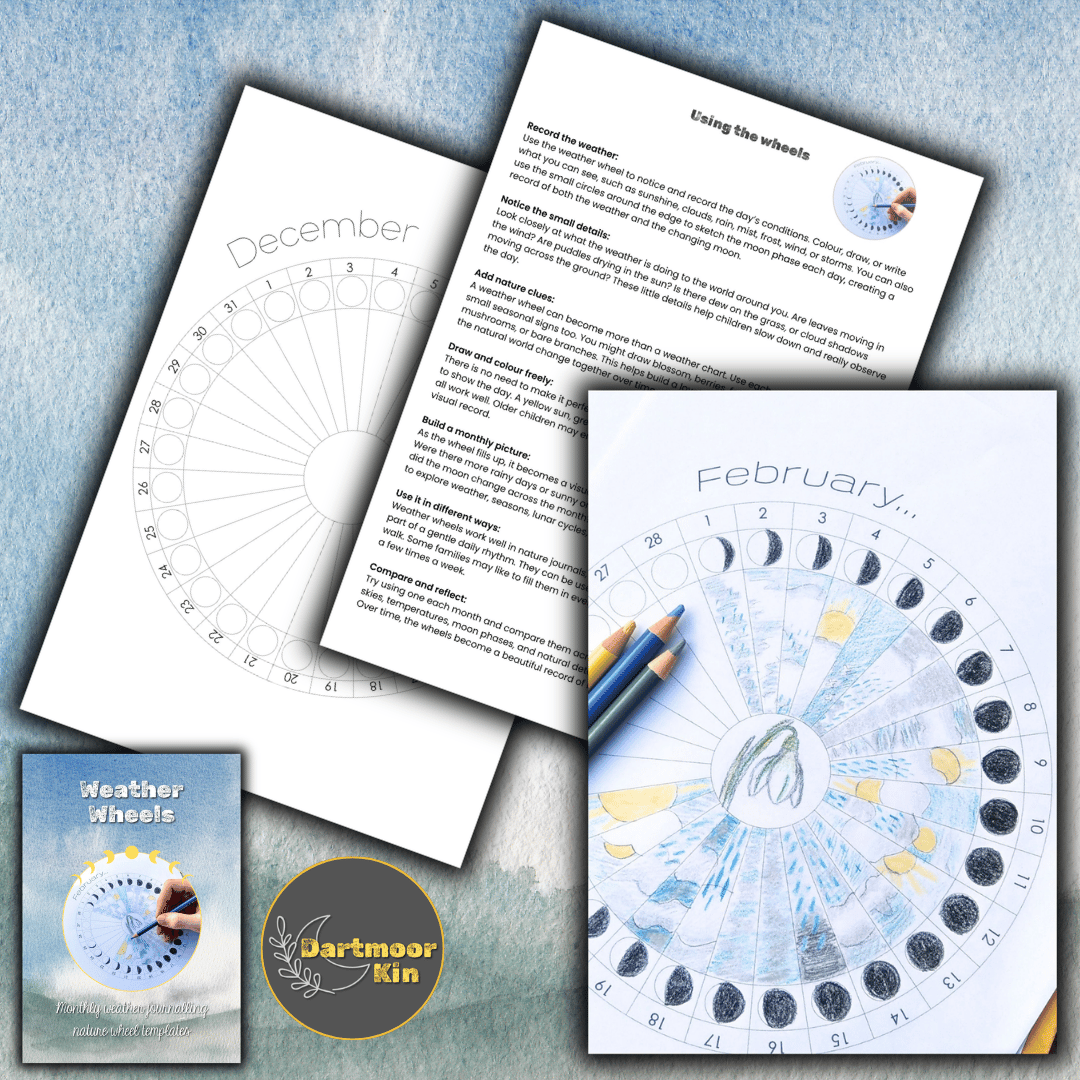 Nature journalling weather wheels with moon phase circles, weather sketches