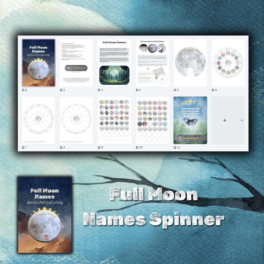 Full moons names spinner Dartmoor Kin pack contents