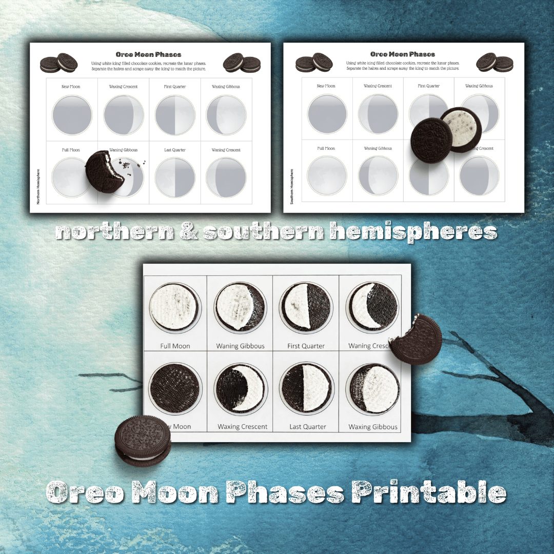 oreo moon phases worksheet printable