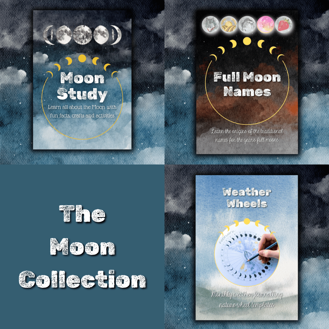 Moon Study Collection by Dartmoor Kin