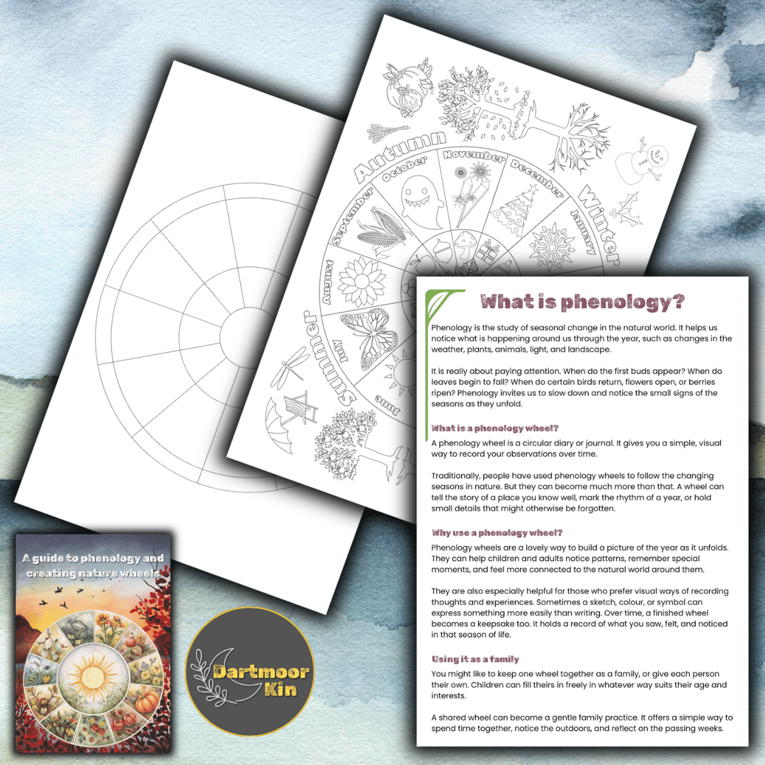 Printable phenology wheel pack with circular nature journalling templates for recording seasonal changes, weather, wildlife, moon phases, and family observations through the year.