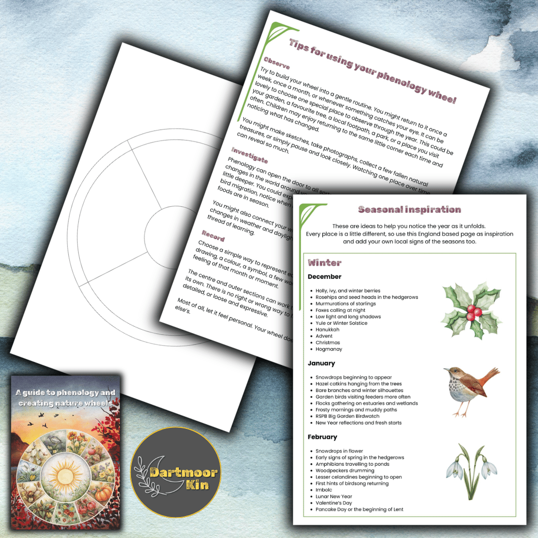 Printable phenology wheel pack with circular nature journalling templates for recording seasonal changes, weather, wildlife, moon phases, and family observations through the year.
