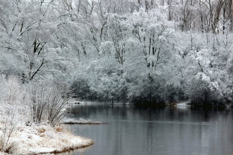 The winter scene. It's quiet, contemplative moments precursors to the violence of the morning heat.
