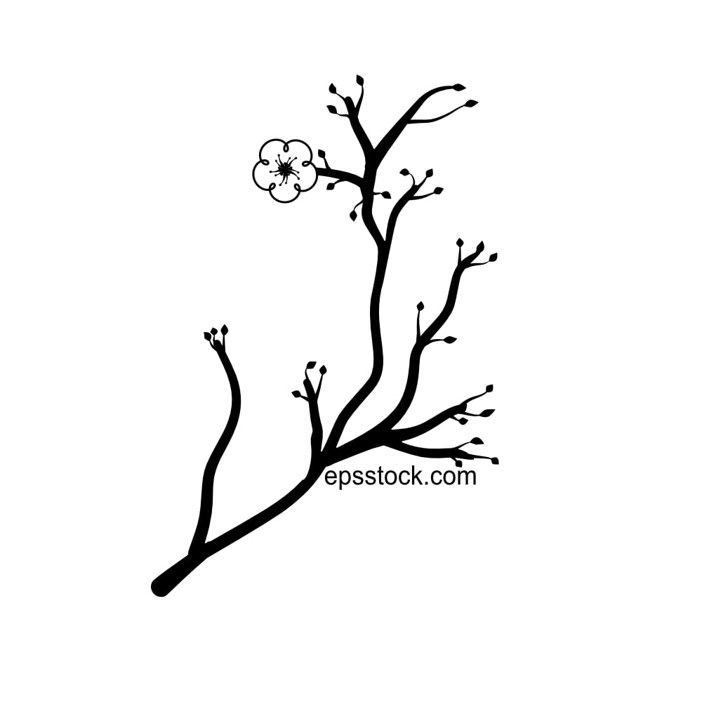 Cherry blossom, black isolated silhouette