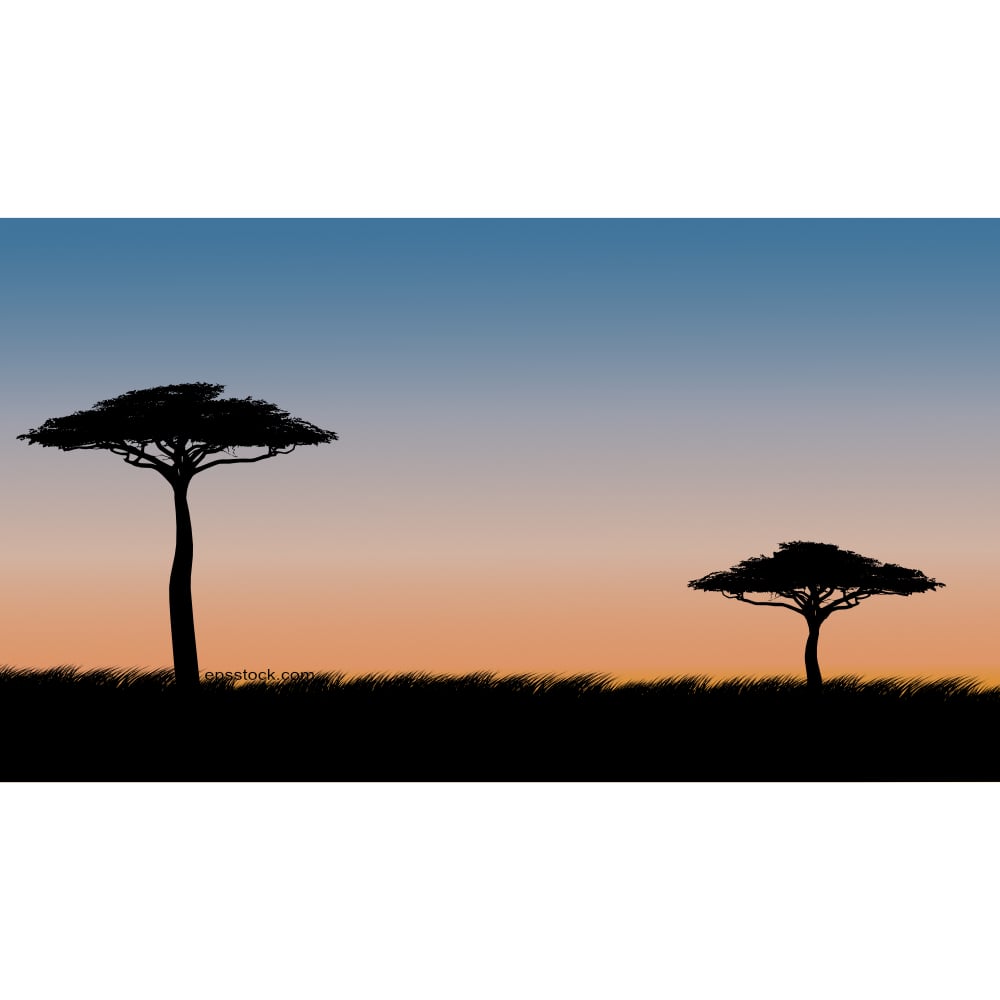 safari sunset, flat vector illustration