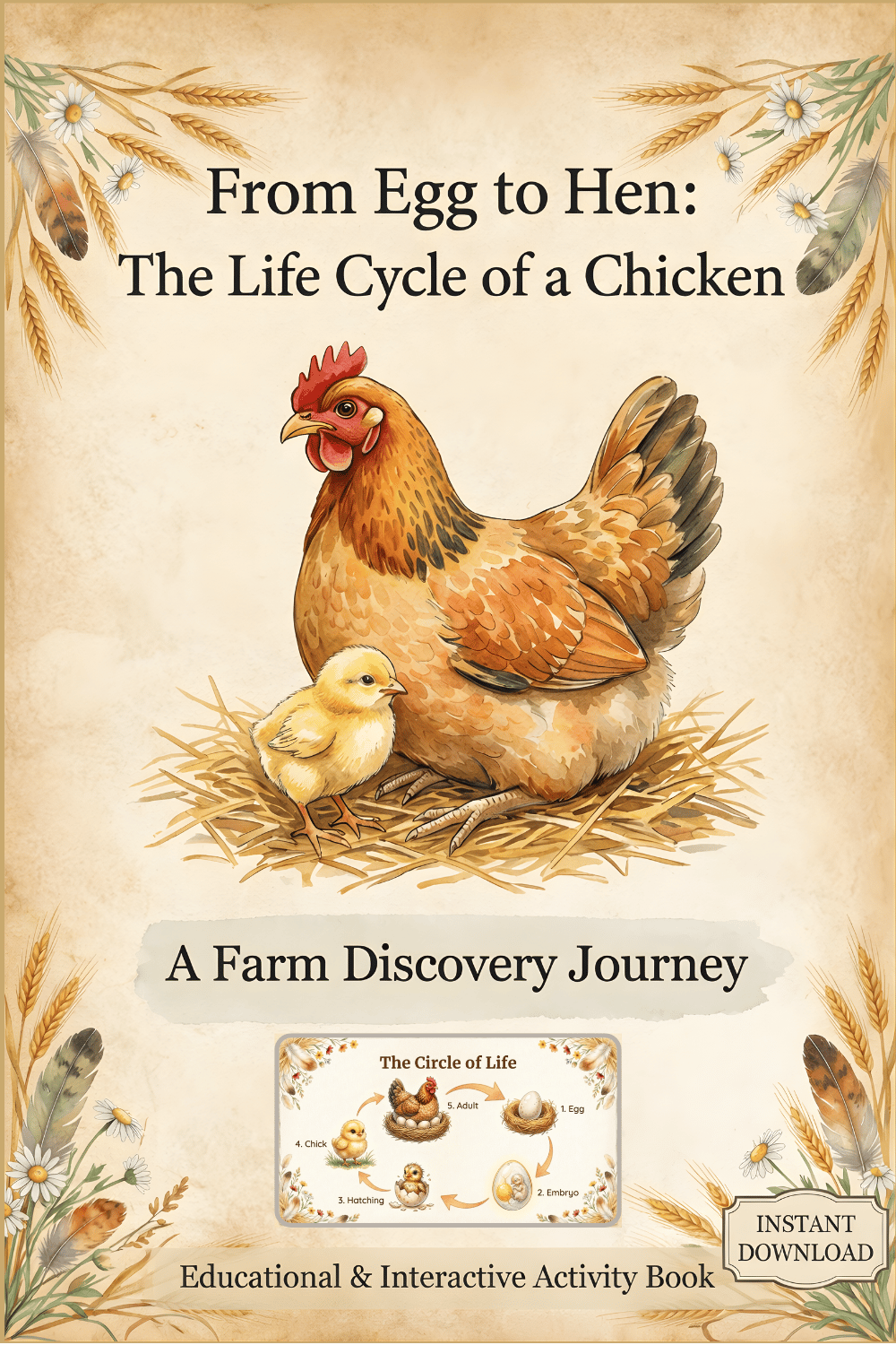 From Egg to Hen: The Life Cycle of a Chicken - Payhip