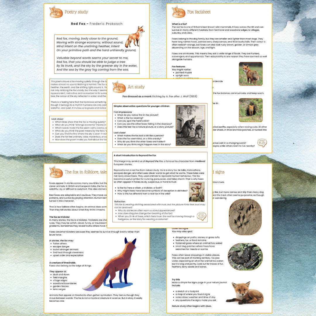 A printable fox study pack exploring fox facts, folklore, fables, poetry, art, and summer nature learning.