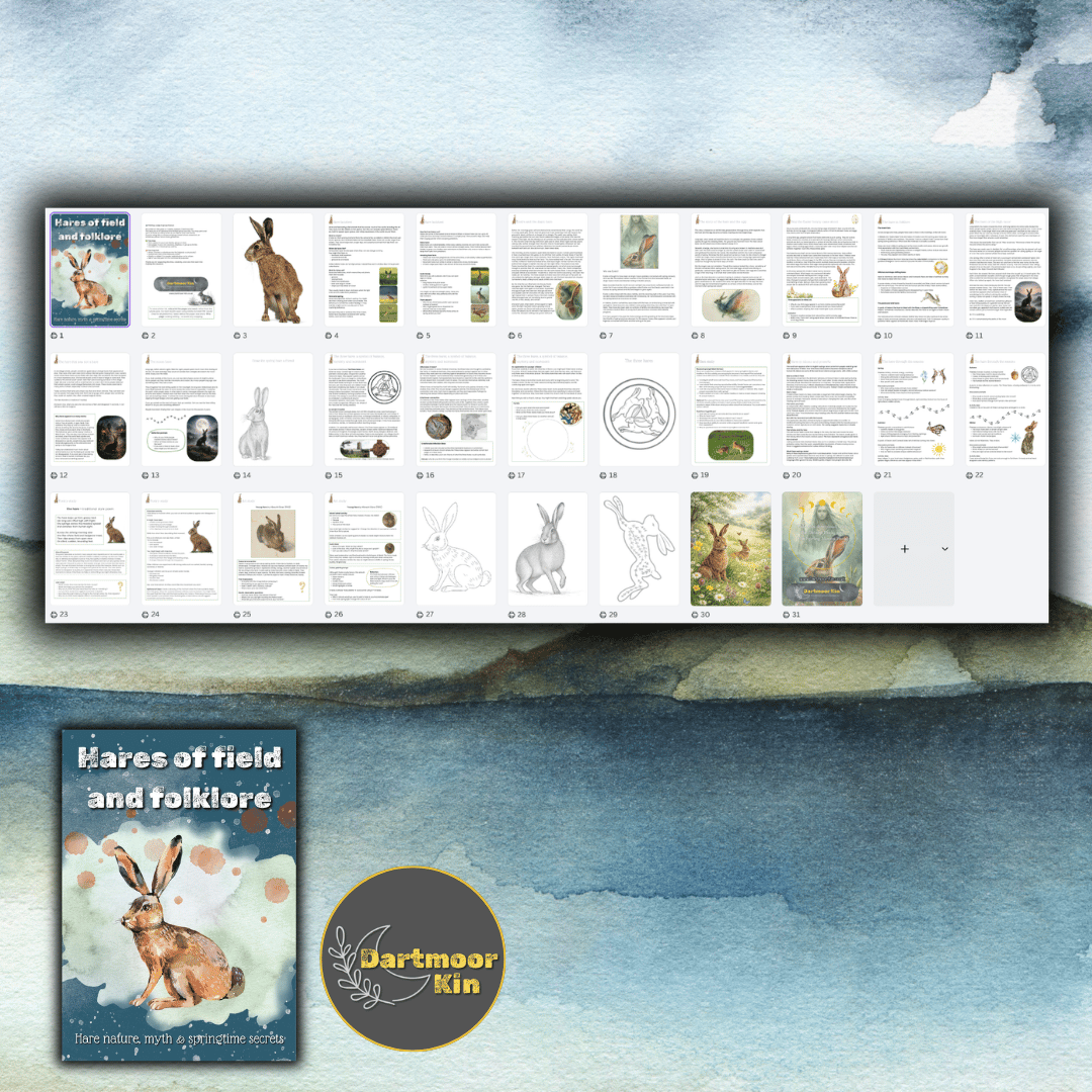 All about hares pack contents | UK facts and folklore | Dartmoor Kin | printable download