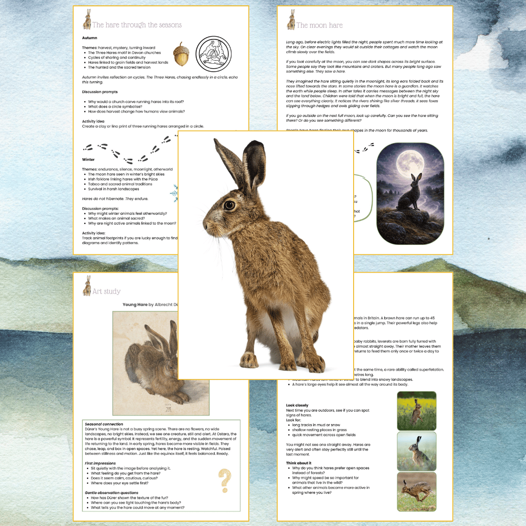 Hares facts and folklore by Dartmoor Kin. digital pack