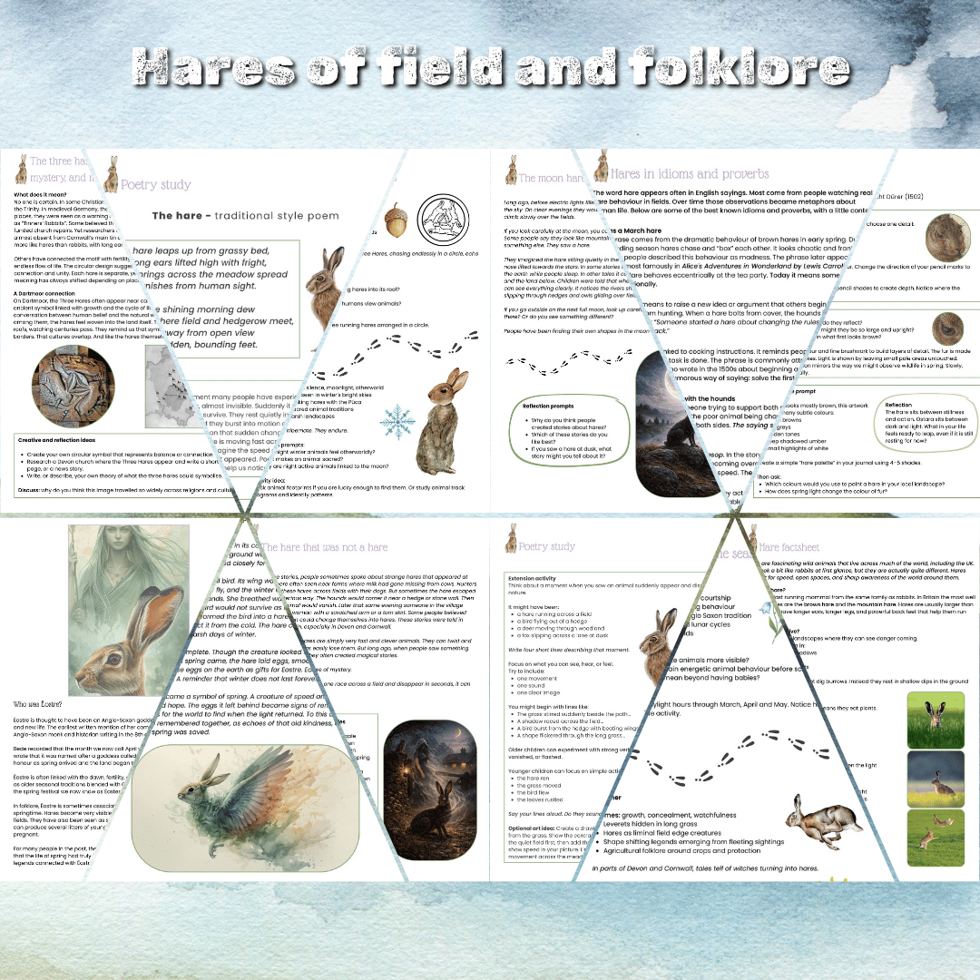 Origins of the Easter bunny | hare myths and mysteries | hares vs rabbits