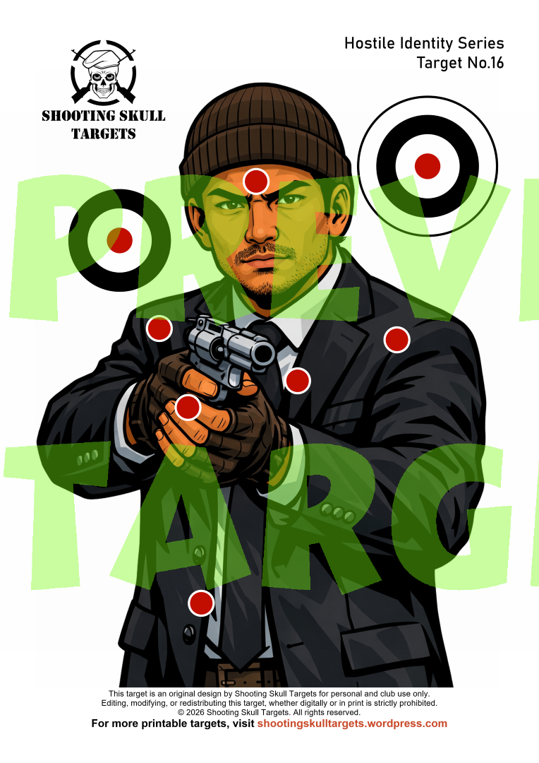air pistol target