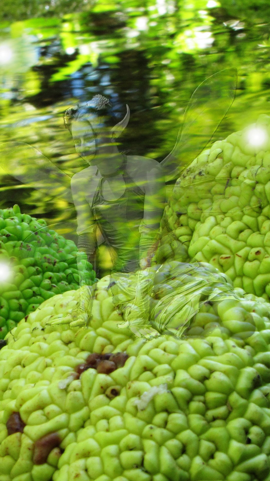 a fairy is sitting on green walnuts in a sunny stream.