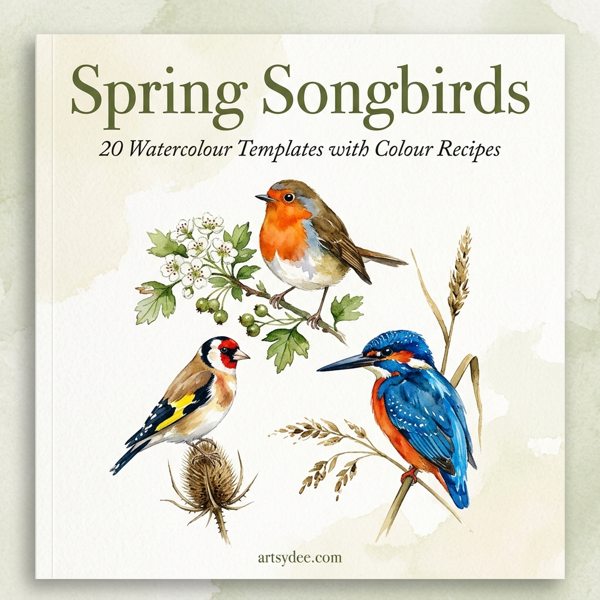 Spring Songbirds &mdash; Premium Watercolour Reference Set
