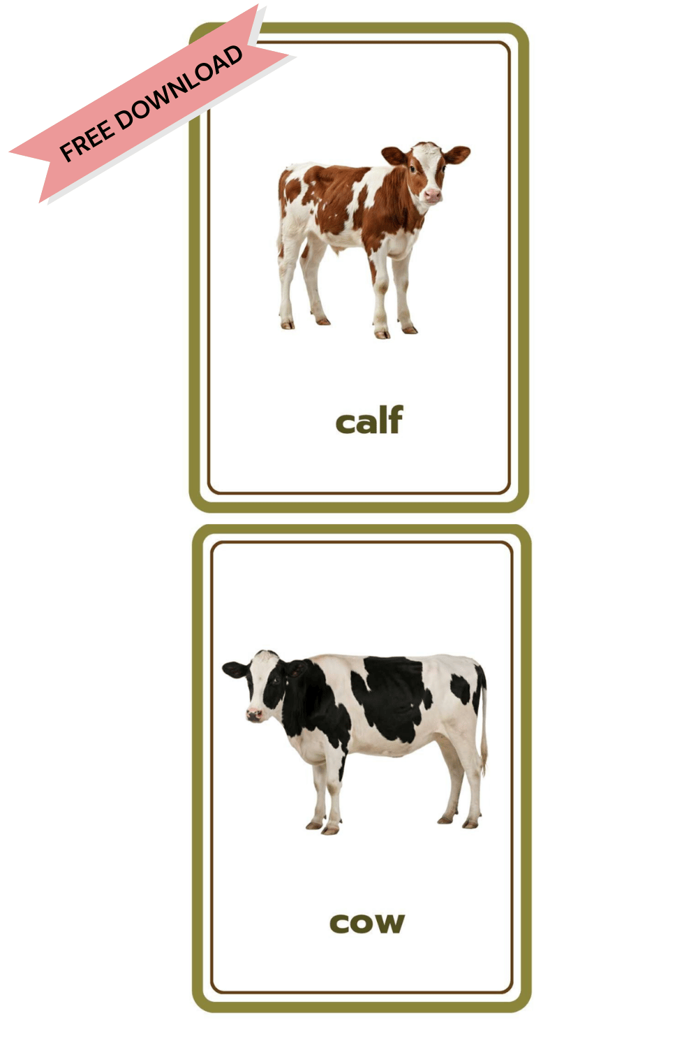 Free Montessori realistic farm animal flashcards sampler, includes cow and calf, llama and cria, printable nomenclature cards for matching adult and baby animals, educational toddlers activity.
